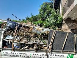 Best Basement Cleanout  in Loretto, TN