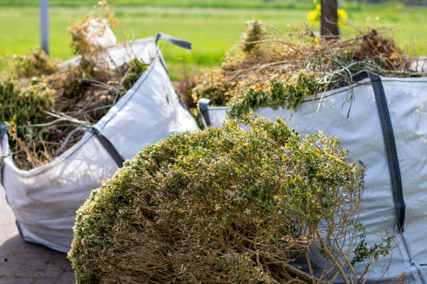 Best Yard Waste Removal  in Loretto, TN